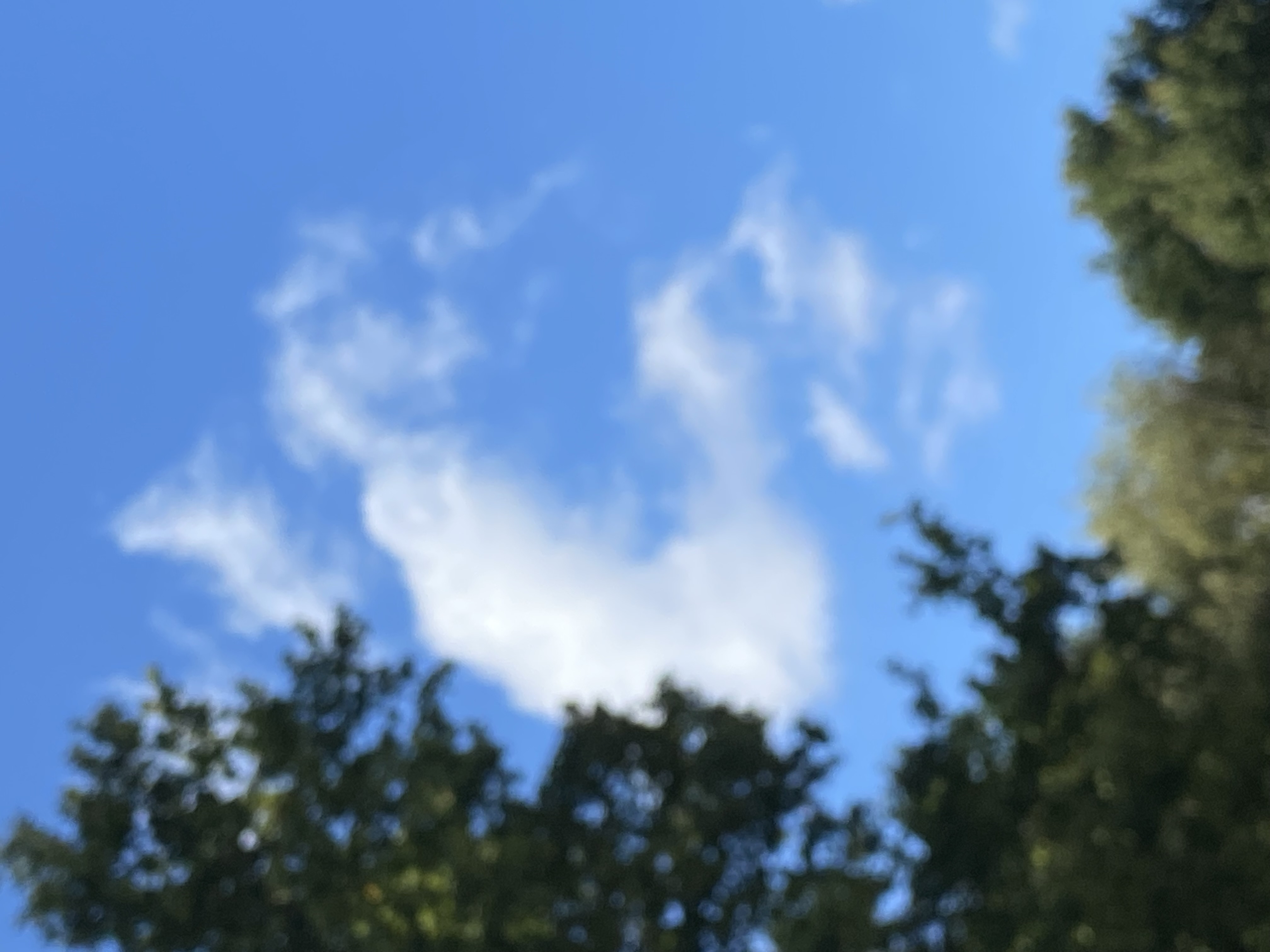 cover-pic