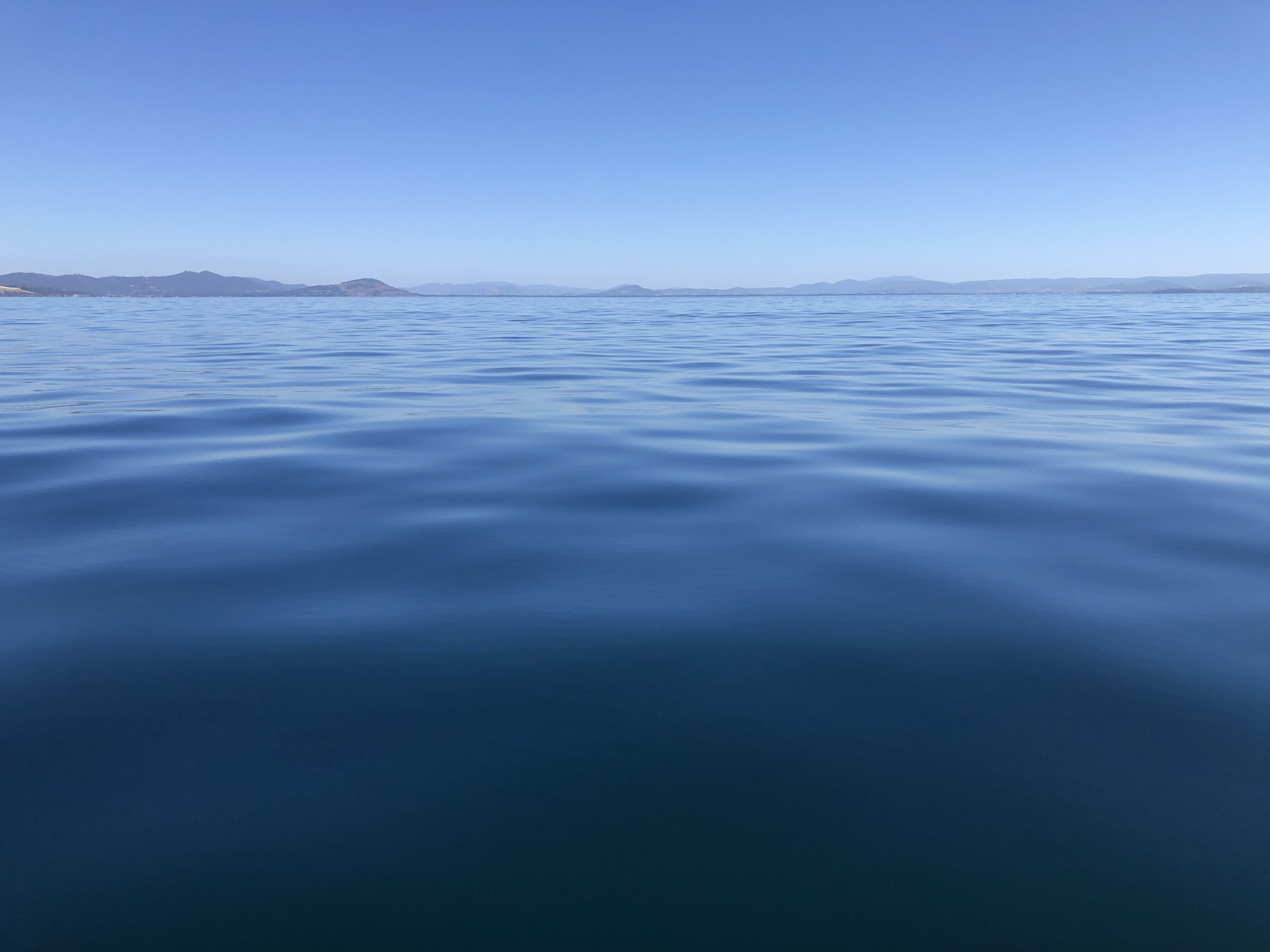 cover-pic